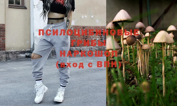 спайс Алексин