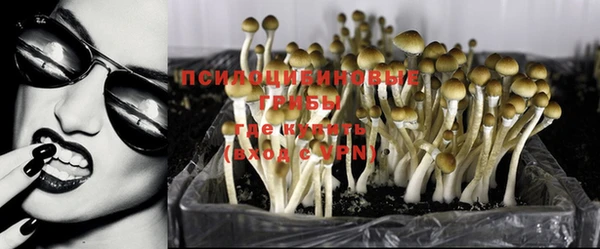 спайс Алексин
